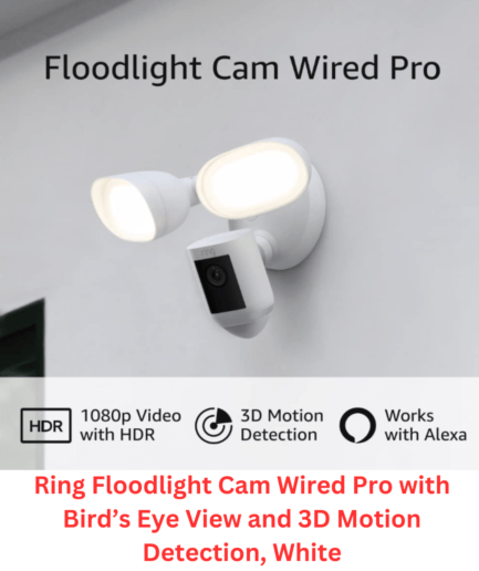 Wired Floodlight Cam